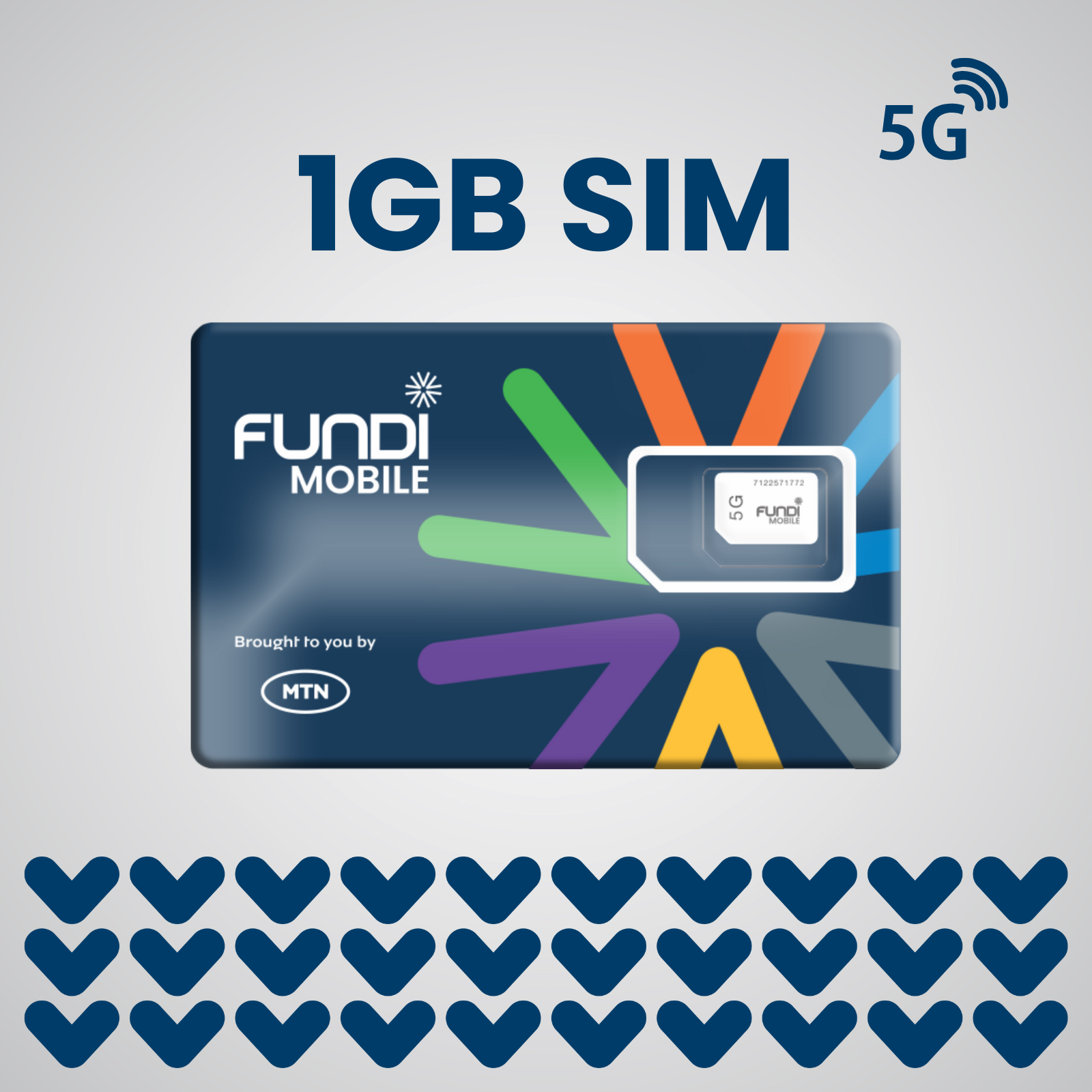 SIM + 1GB Data